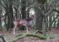 bd_DSC00257 (2)